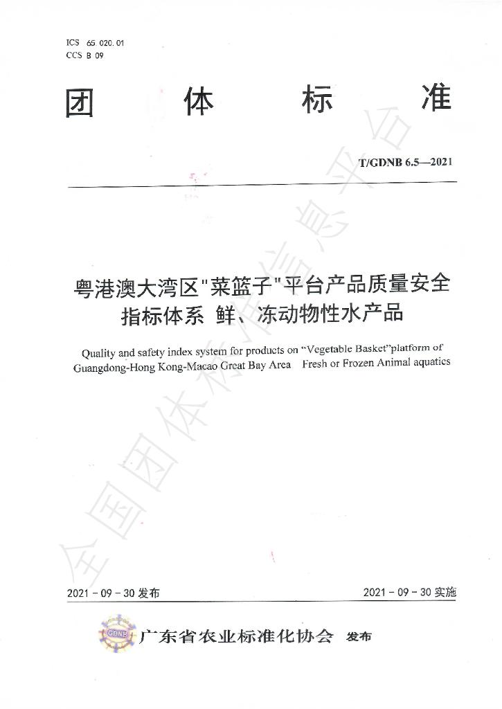 T/GDNB 6.5-2021 标准预览
