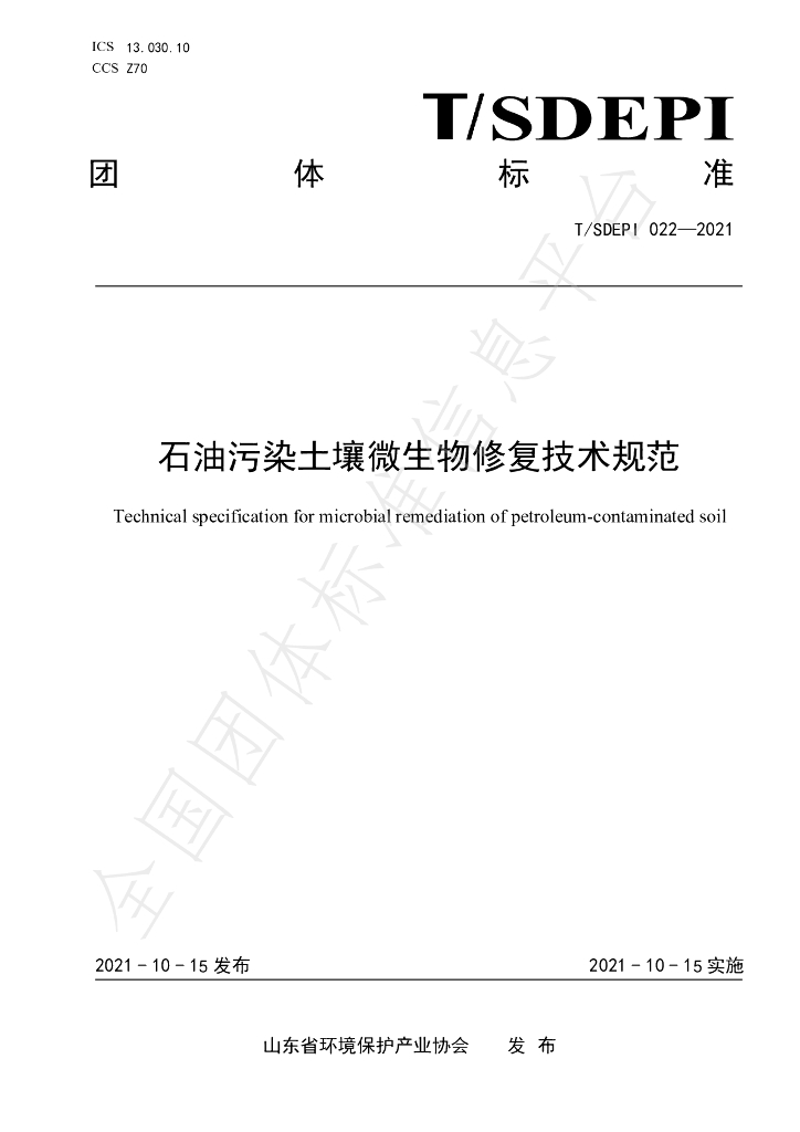 T/SDEPI 022-2021 标准预览