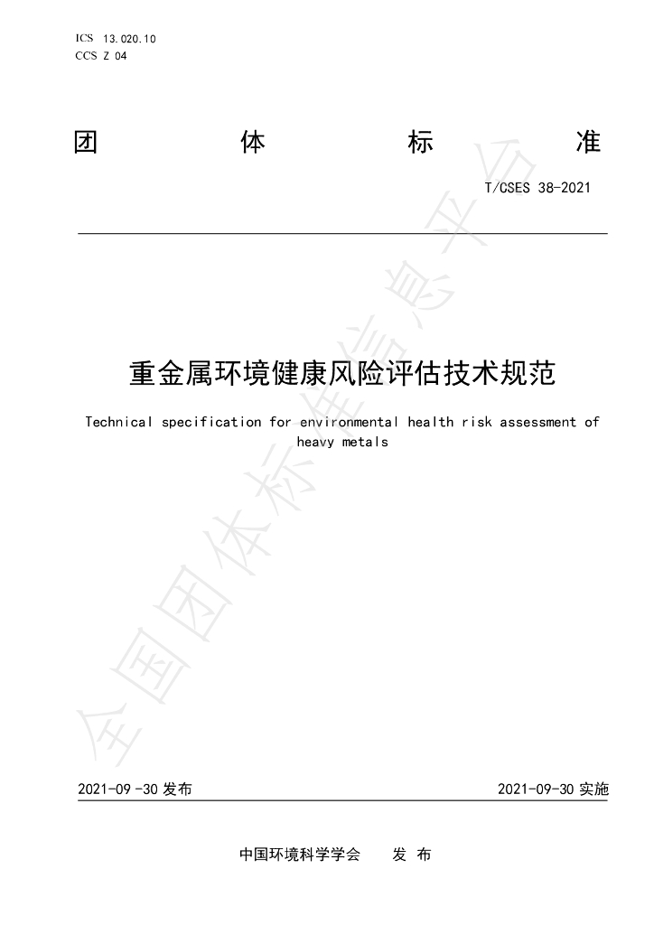 T/CSES 38-2021 标准预览
