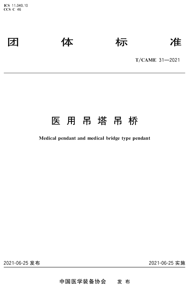 T/CAME 31-2021 标准预览