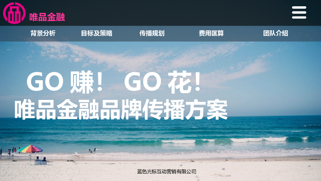 唯品金融品牌传播方案-蓝色光标