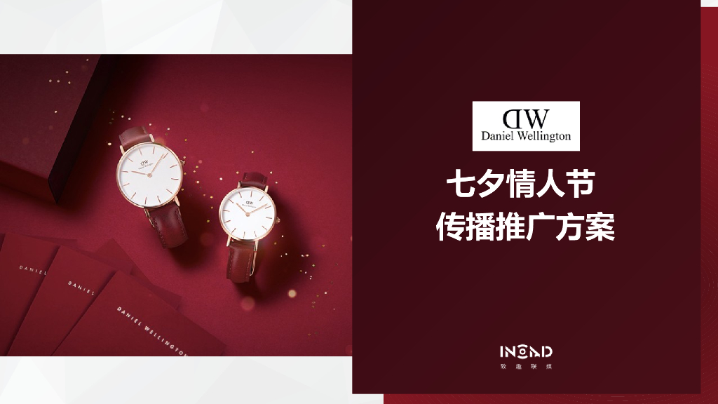 DW情人节传播策划案