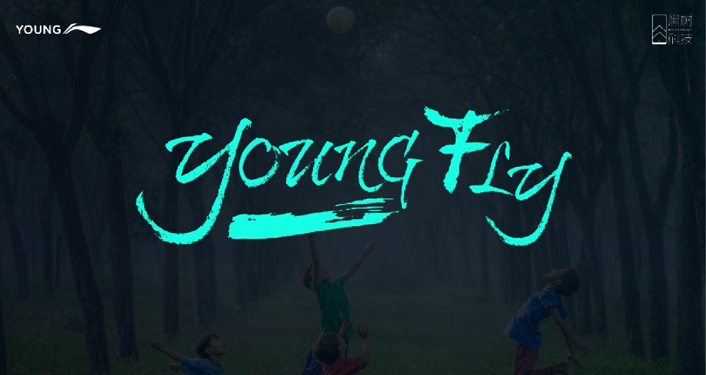 2017李宁YOUNG-2018年数字营销解决方案