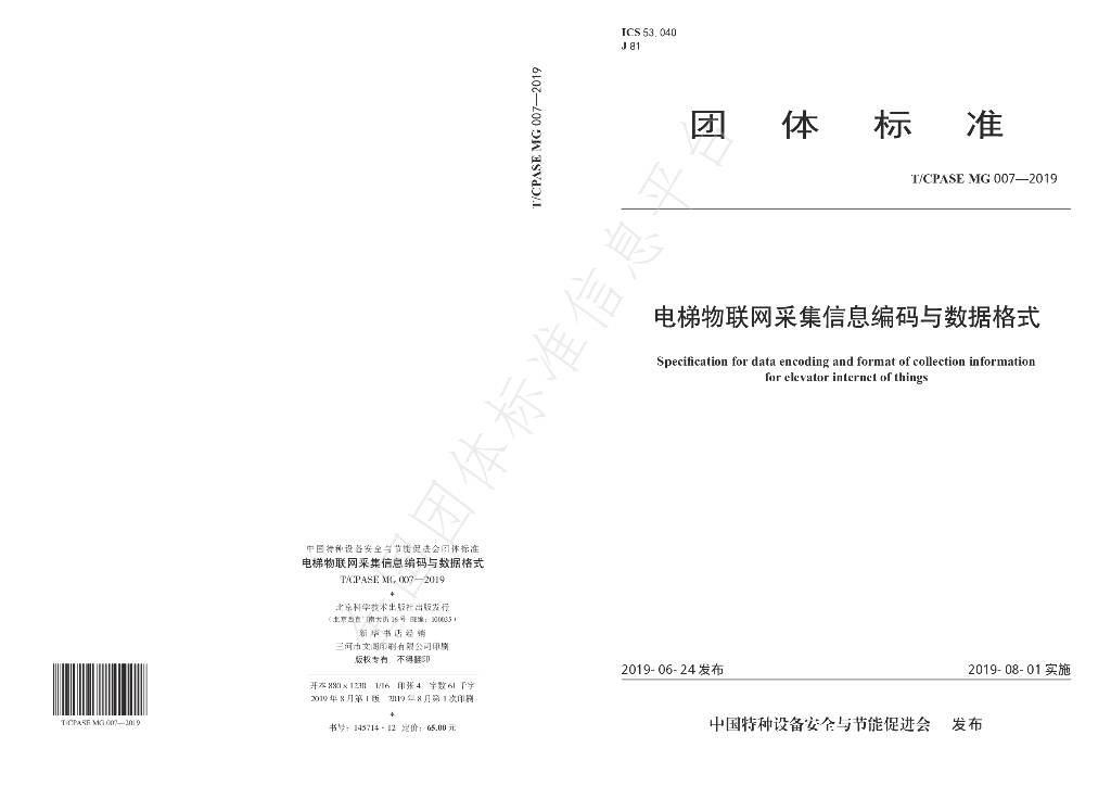 T/CPASE MG007-2019 标准预览