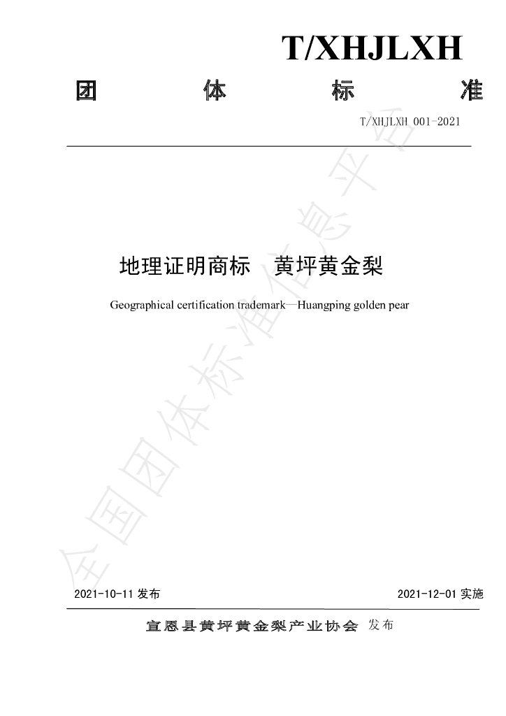 T/XHJLXH 001-2021 标准预览