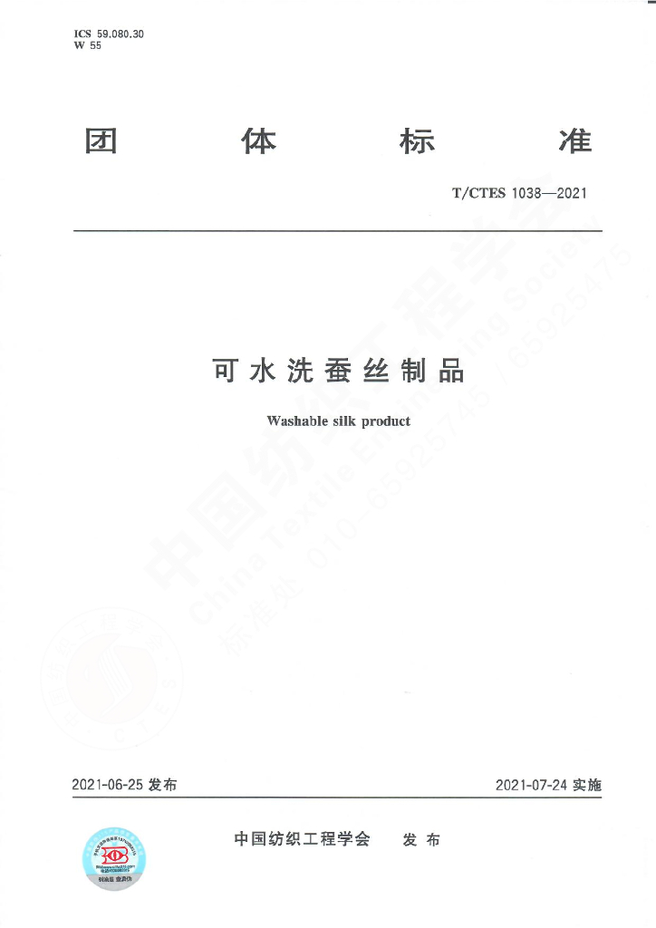 T/CTES 1038-2021 标准预览