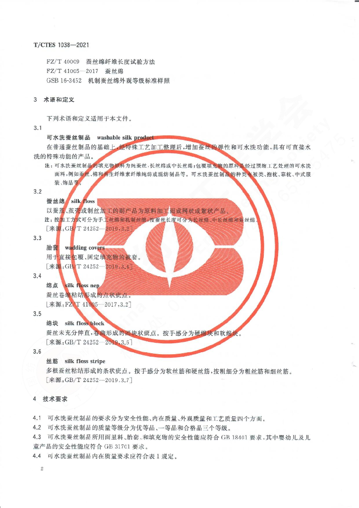 T/CTES 1038-2021 标准预览