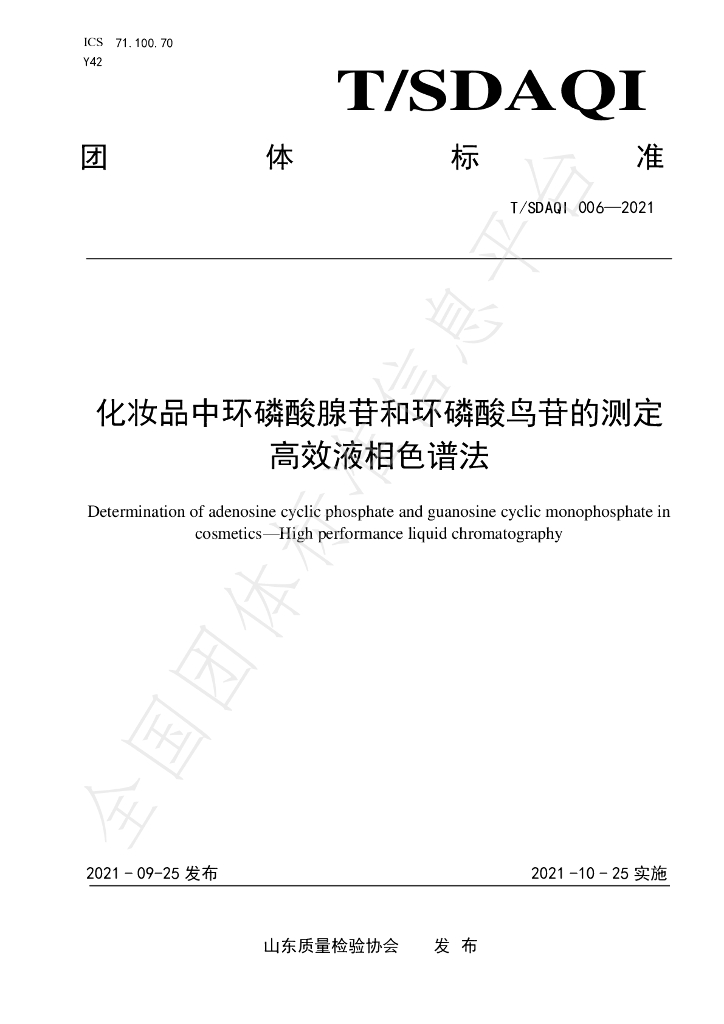 T/SDAQI 006-2021 标准预览