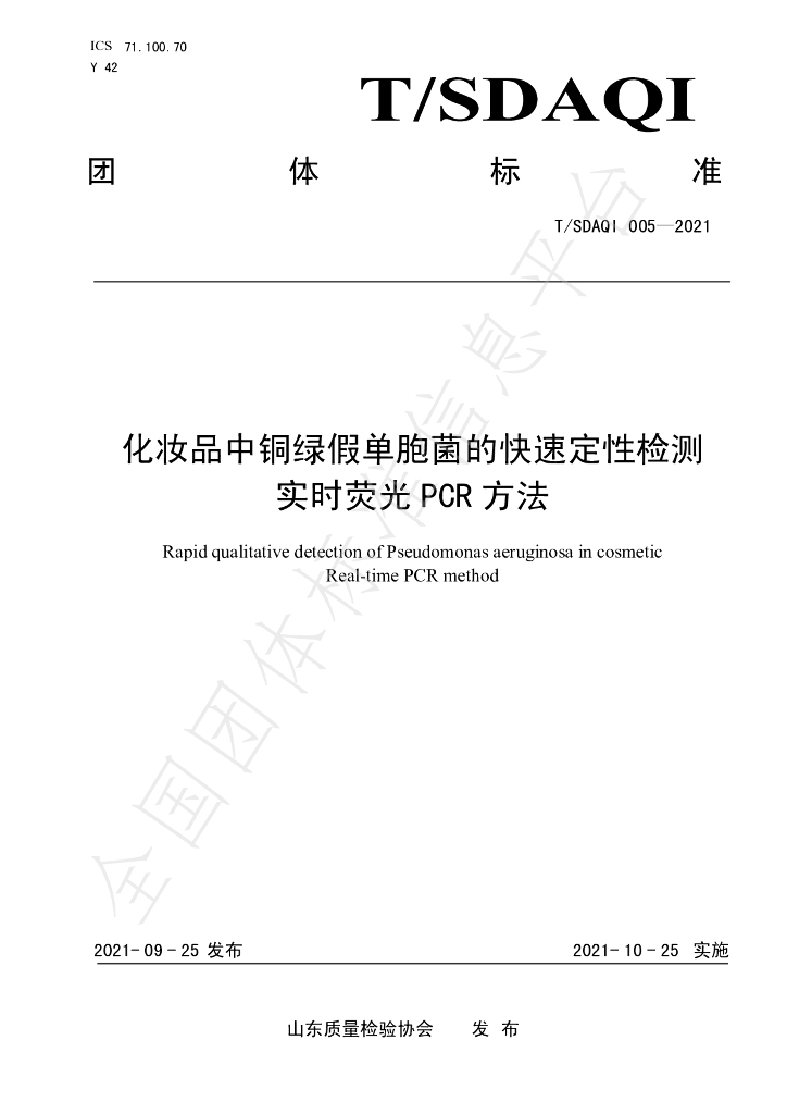 T/SDAQI 005-2021 标准预览