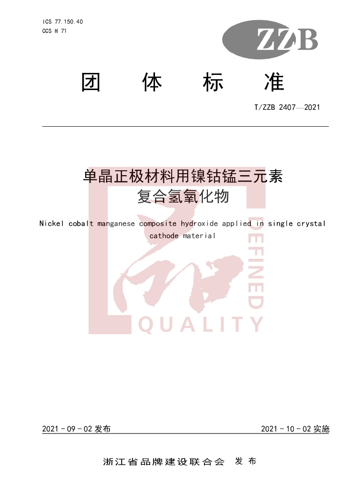 T/ZZB 2407-2021 标准预览