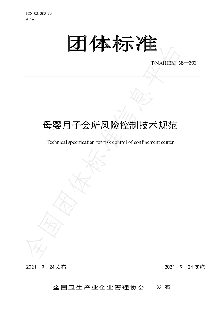 T/NAHIEM 38-2021 标准预览