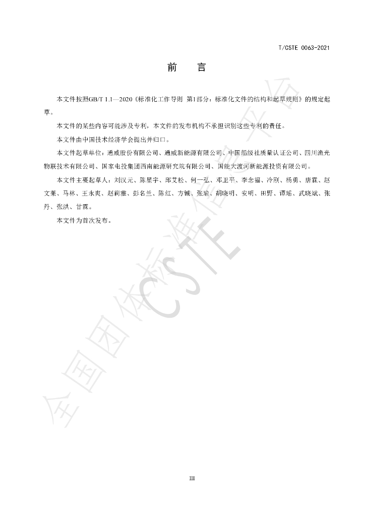T/CSTE 0063-2021 标准预览