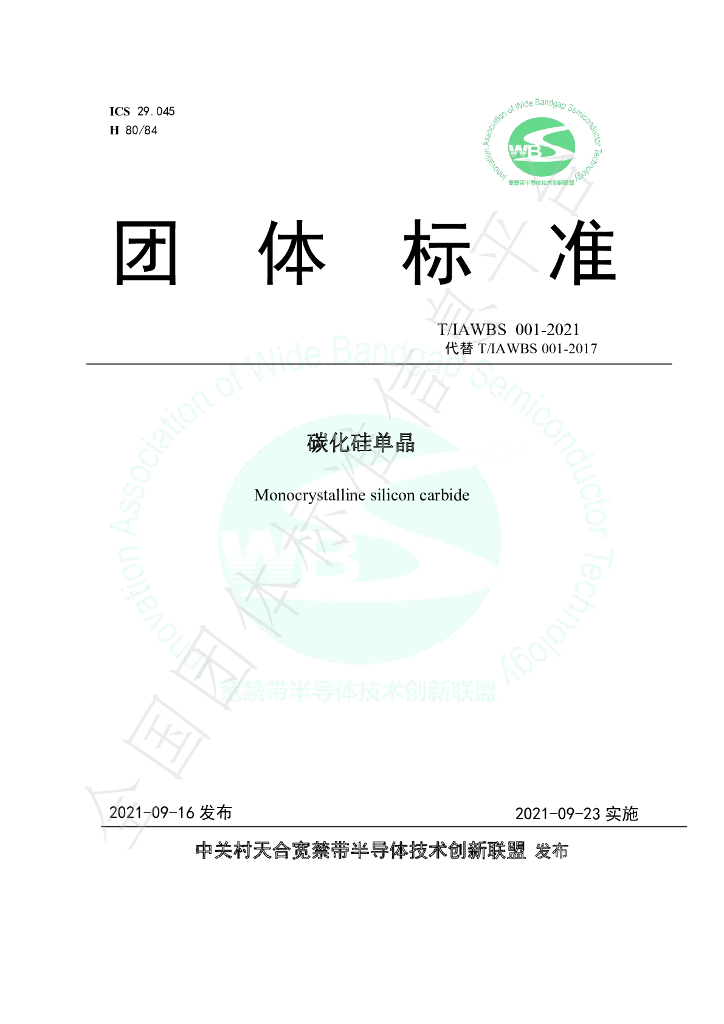 T/IAWBS 001-2021 标准预览