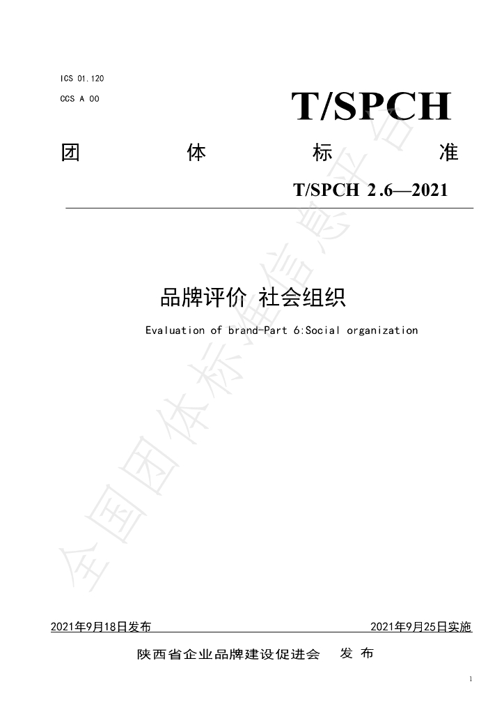 T/SPCH 2.6-2021 标准预览