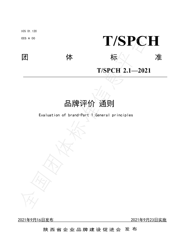 T/SPCH 2.1-2021 标准预览