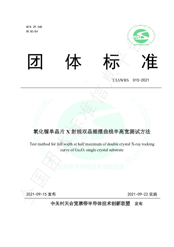 T/IAWBS 015-2021 标准预览