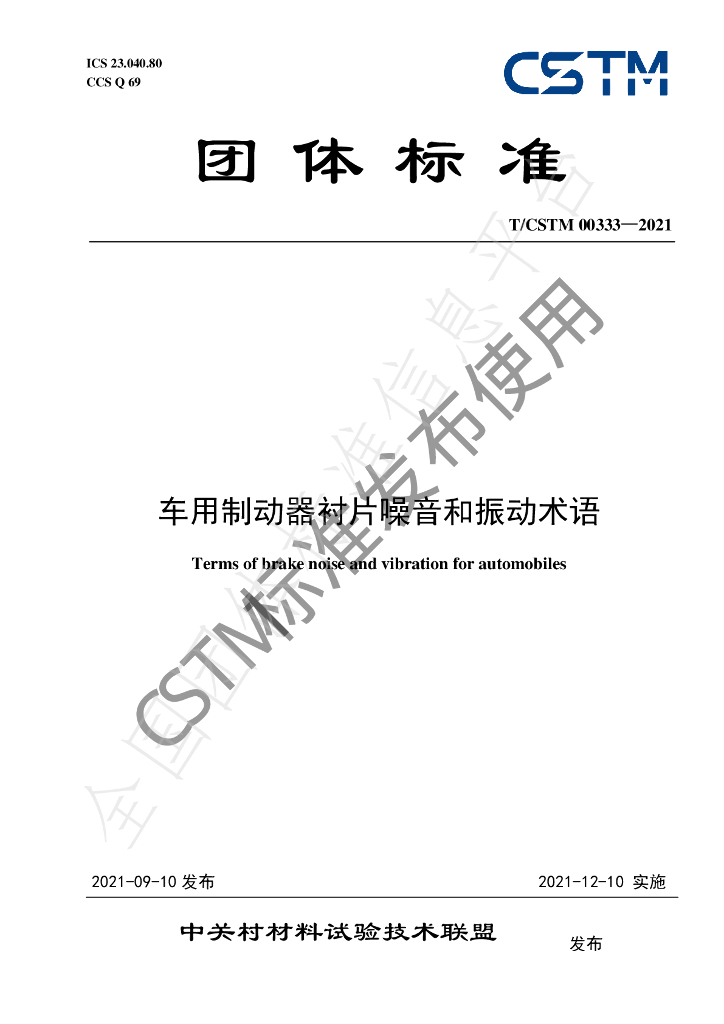 T/CSTM 00333-2021 标准预览