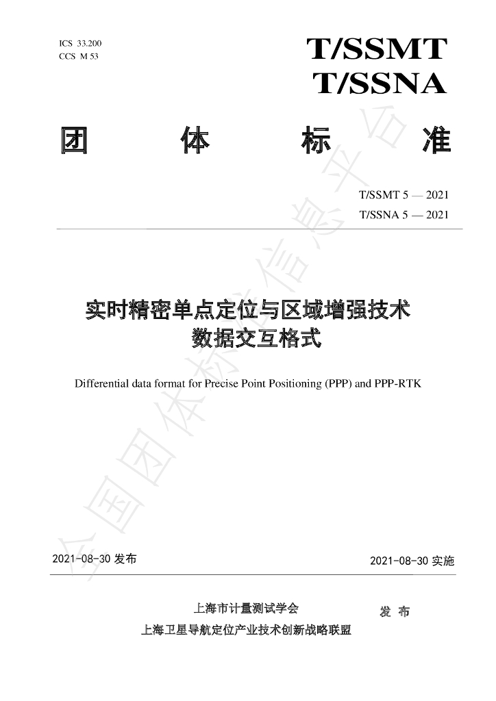 T/SSMT 5-2021 标准预览