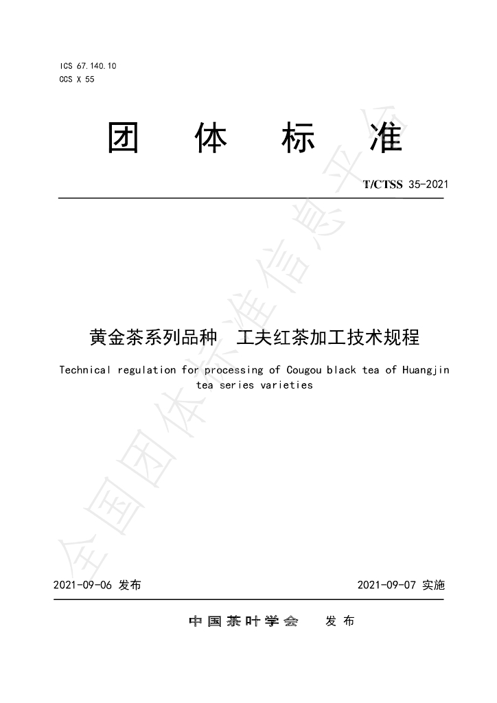 T/CTSS 35-2021 标准预览