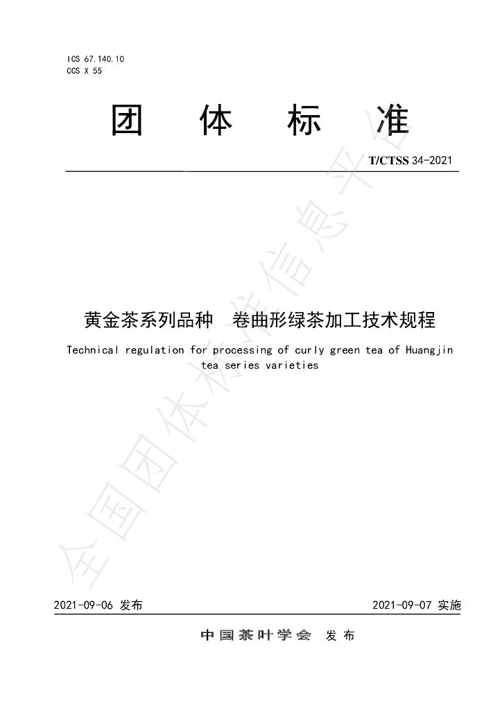 T/CTSS 34-2021 标准预览