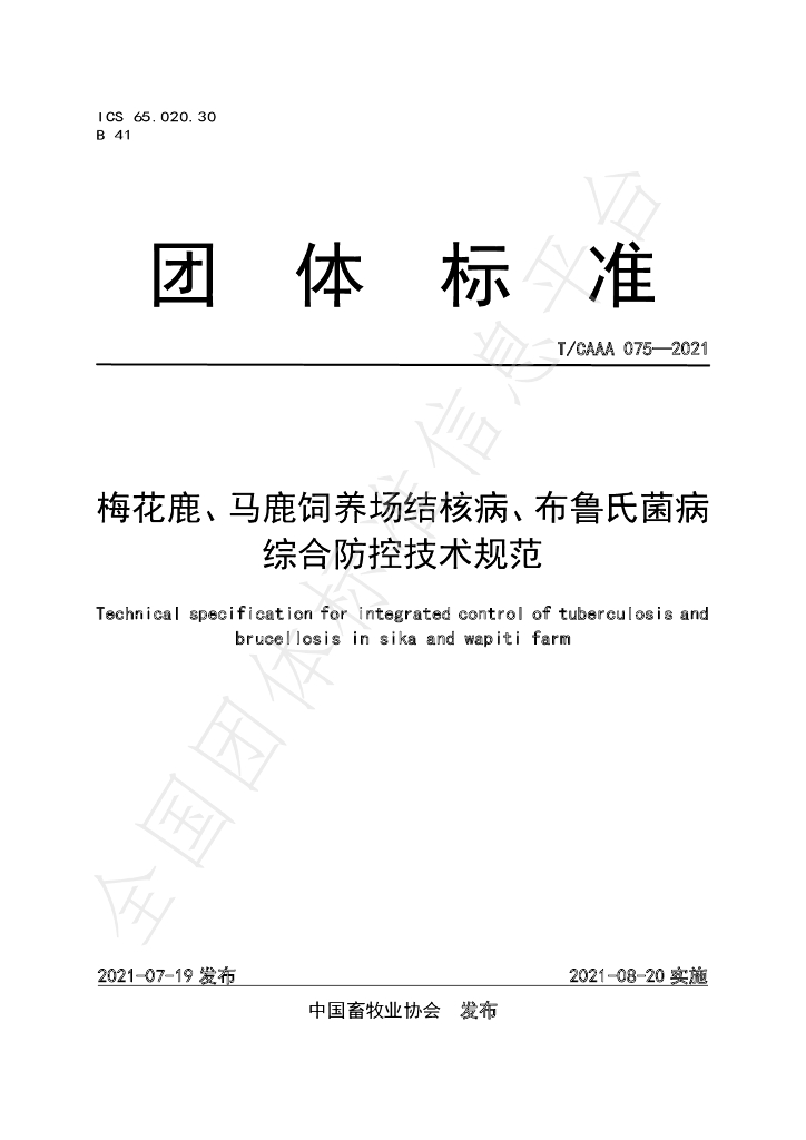 T/CAAA 075-2021 标准预览