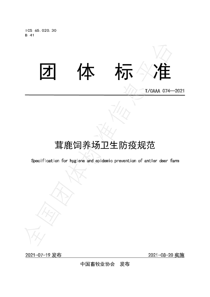 T/CAAA 074-2021 标准预览