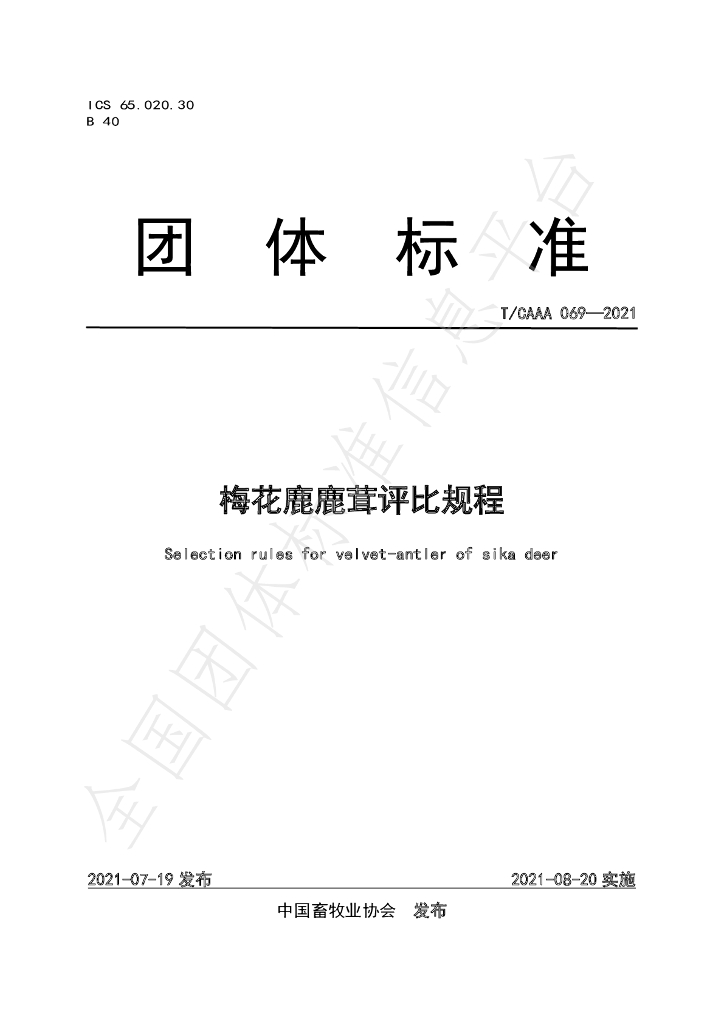 T/CAAA 069-2021 标准预览