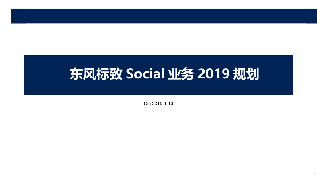 2019东风标致数字营销传播规划