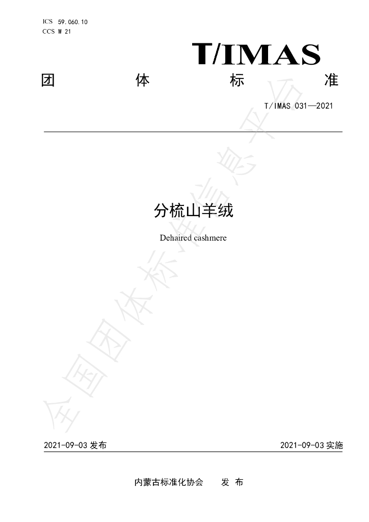 T/IMAS 031-2021 标准预览