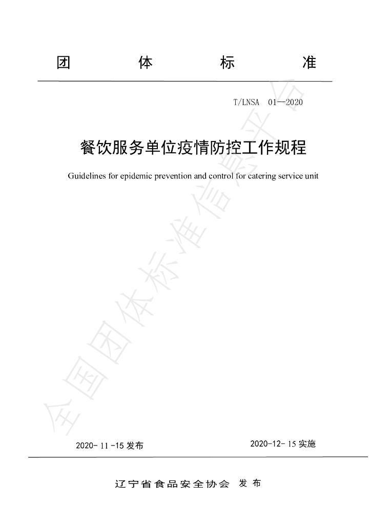 T/LNSA 01-2020 标准预览