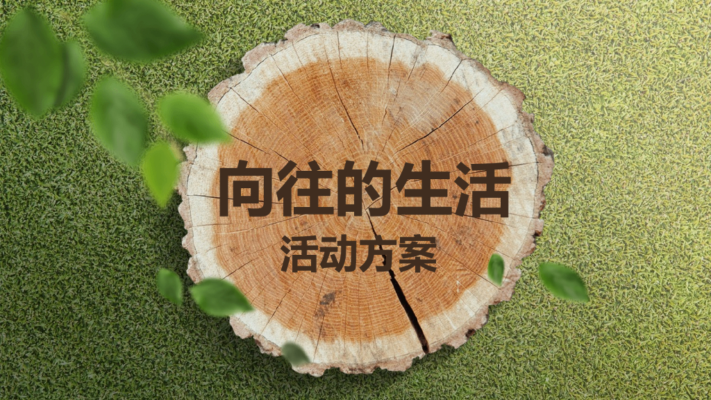 2017向往的生活活动方案
