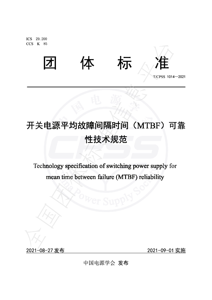 T/CPSS 1014-2021 标准预览