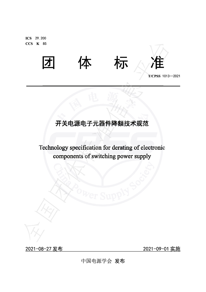 T/CPSS 1013-2021 标准预览