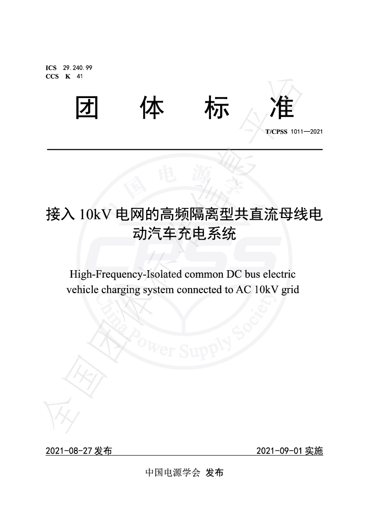 T/CPSS 1011-2021 标准预览