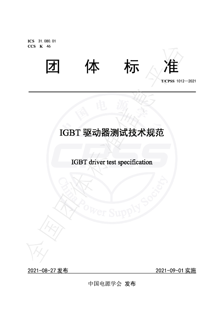 T/CPSS 1012-2021 标准预览