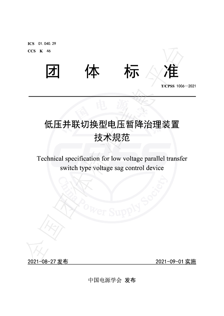 T/CPSS 1006-2021 标准预览