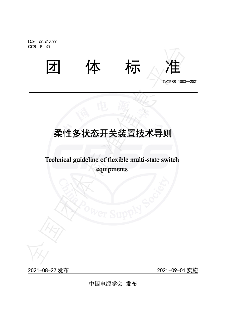 T/CPSS 1003-2021 标准预览
