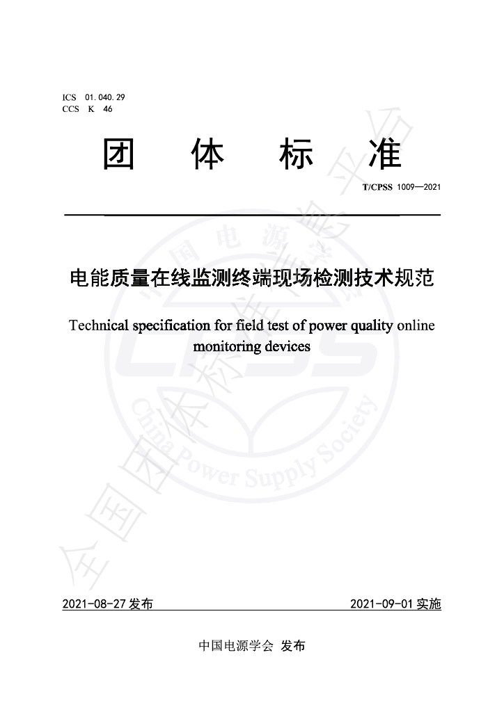 T/CPSS 1009-2021 标准预览