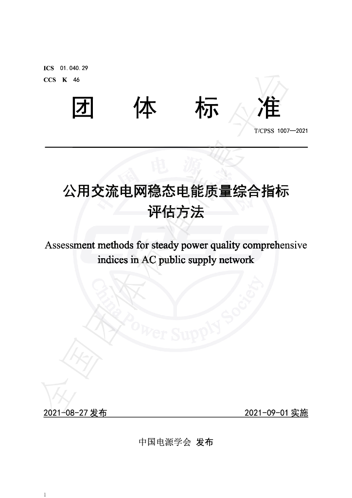 T/CPSS 1007-2021 标准预览