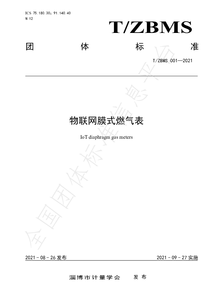 T/ZBMS 001-2021 标准预览