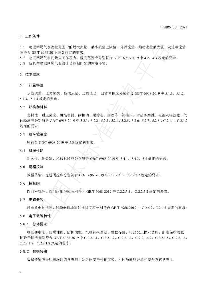 T/ZBMS 001-2021 标准预览