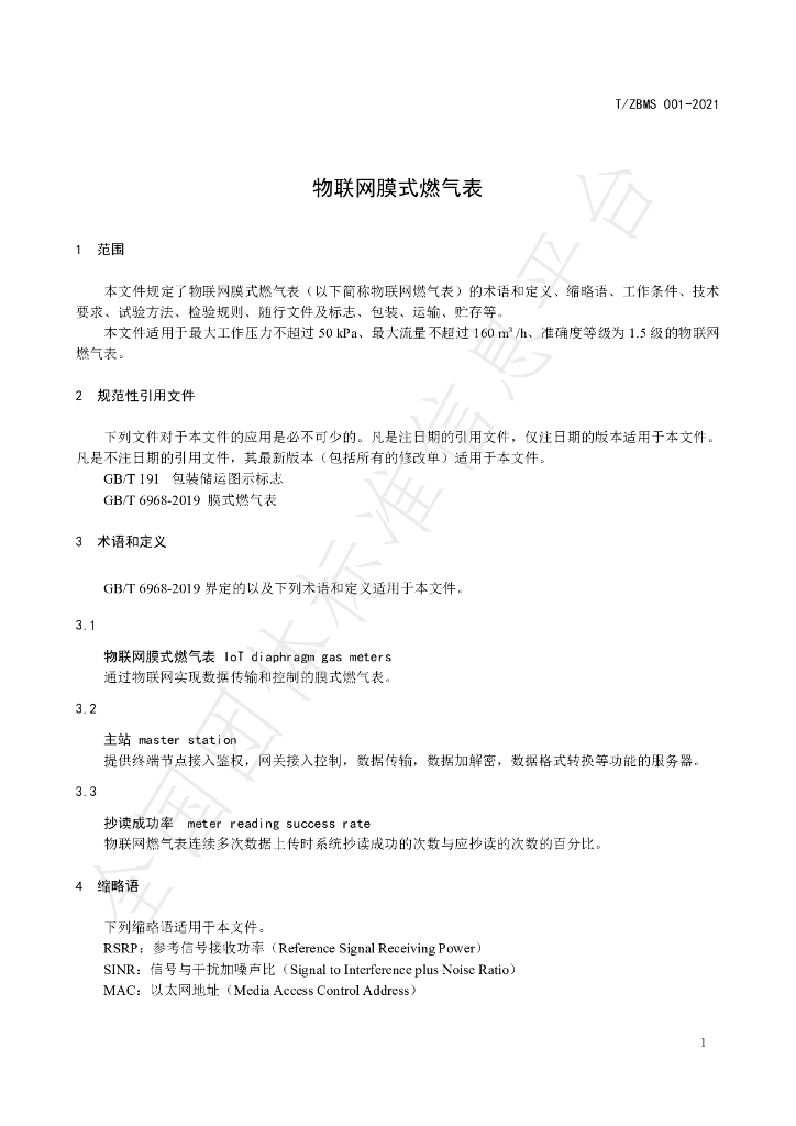 T/ZBMS 001-2021 标准预览