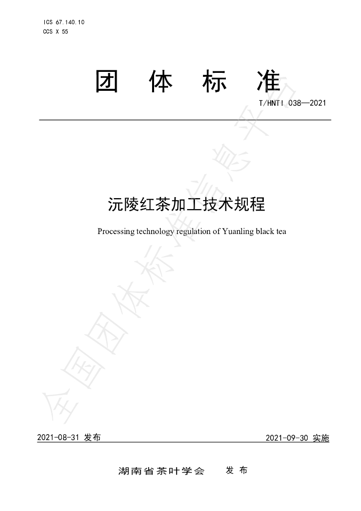 T/HNTI 038-2021 标准预览