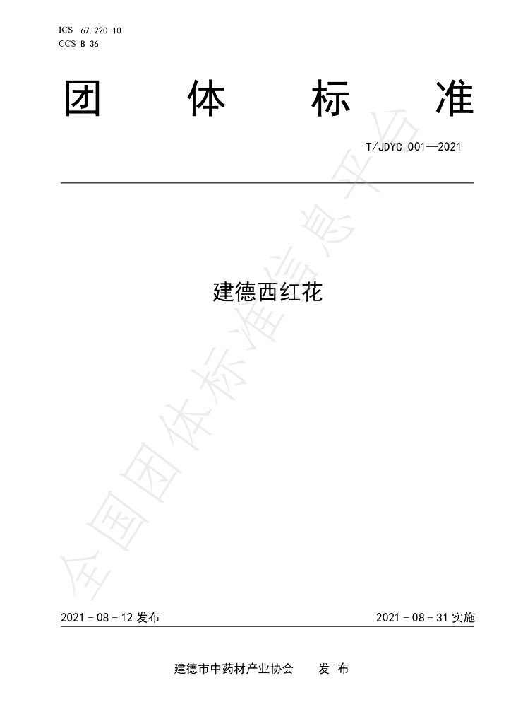 T/JDYC 001-2021 标准预览