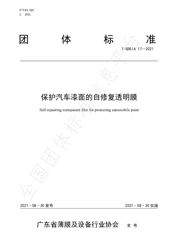 T/GDEIA 17-2021 标准预览