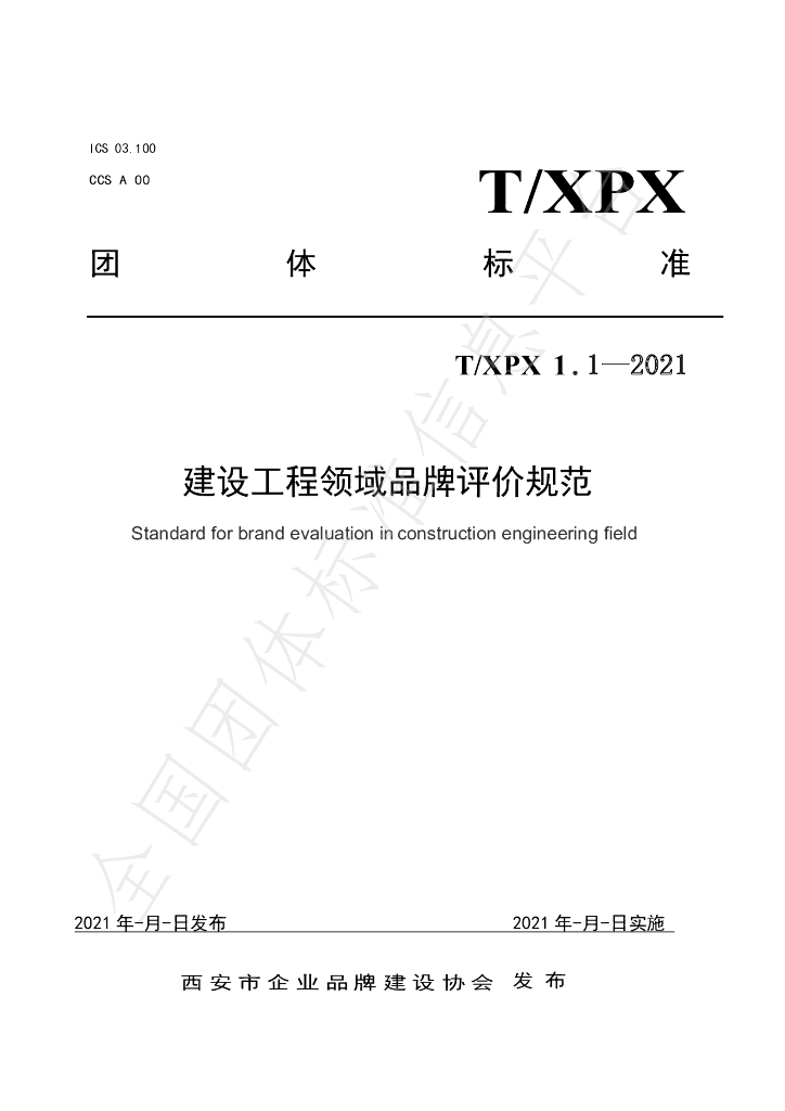 T/XPX 1.1-2021 标准预览