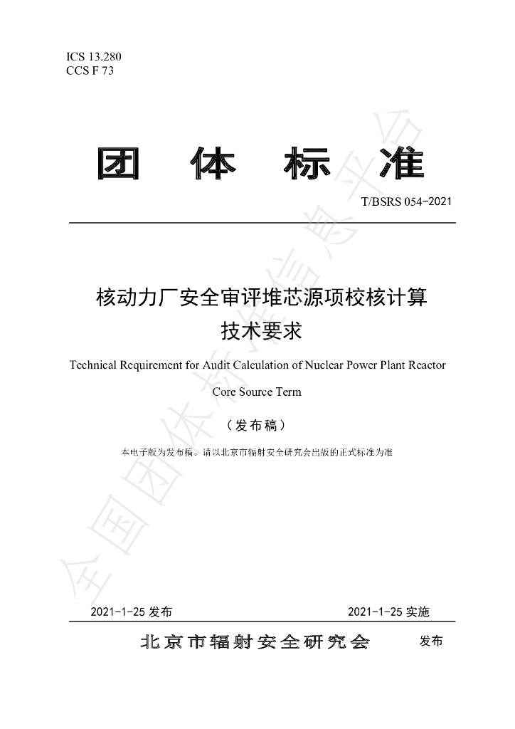 T/BSRS 054-2021 标准预览