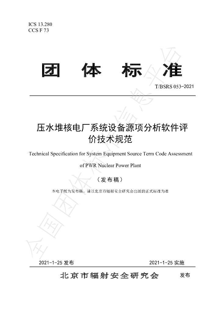 T/BSRS 053-2021 标准预览