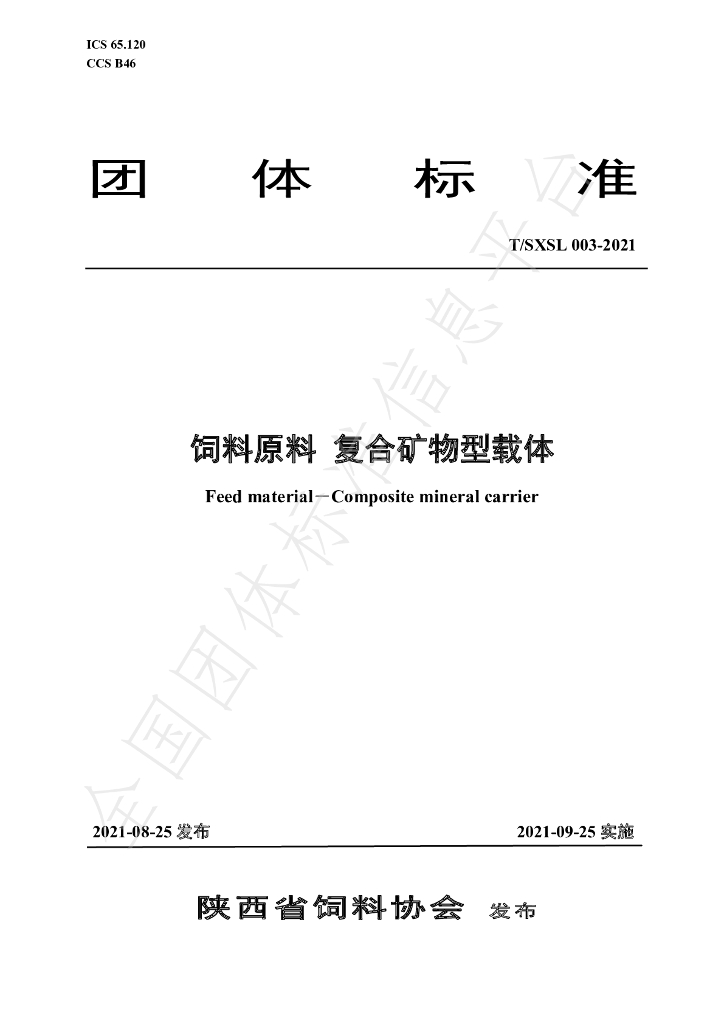 T/SXSL 03-2021 标准预览