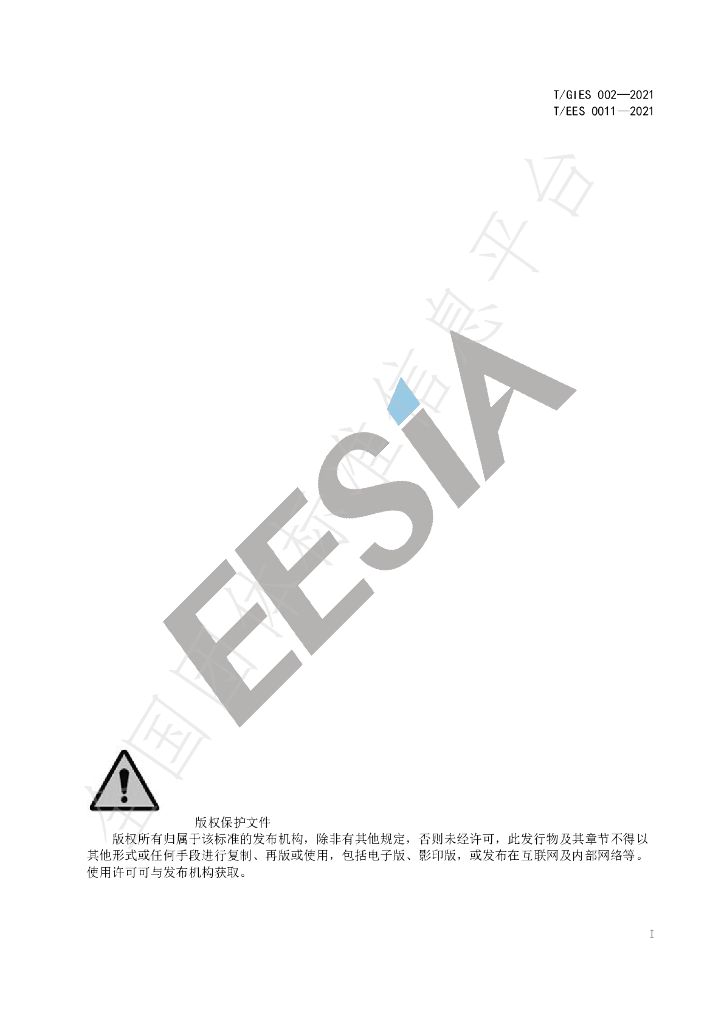 T/GIES 002-2021 标准预览